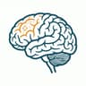 Neurosciences & Neurosurgery