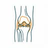 Orthopaedics & Joint Replacement