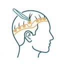 Hair Transplant