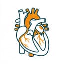 Bypass Surgery (CABG)