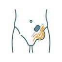 Hernia Repair