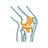 knee