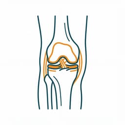 Orthopaedics
