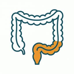 Proctology