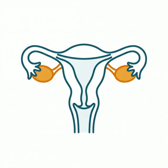 Gynaecology